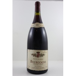Magnum Bourgogne 1993